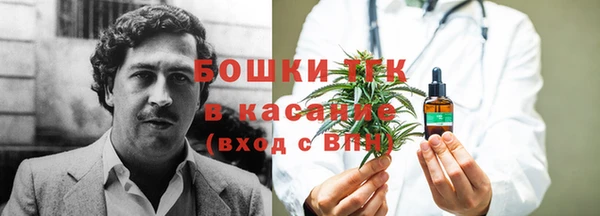 дживик Горнозаводск